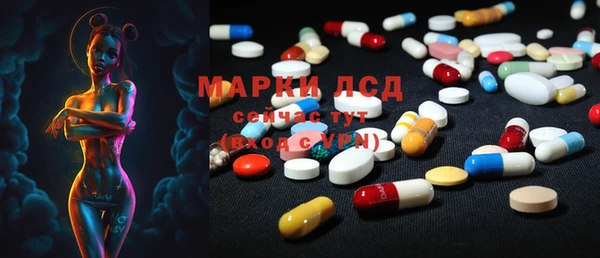 мдпв Лагань