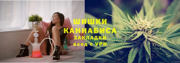 мдпв Лагань
