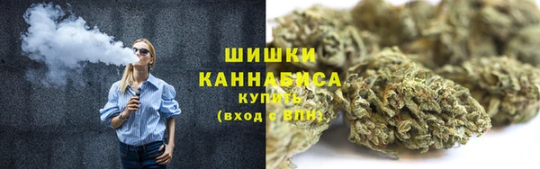 эйфоретик Липки